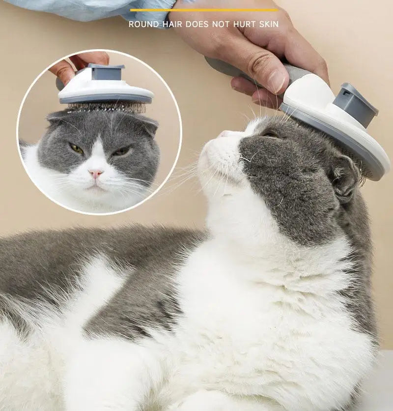 One-Click Pet Dog Hair Removal Brush